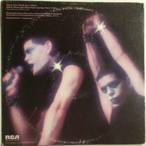 Lou Reed - Rock 'n Roll Animal - Afbeelding 2