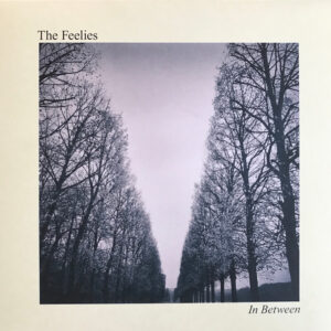 The Feelies - In Between - Afbeelding 1