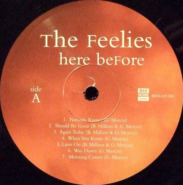 The Feelies - Here Before
