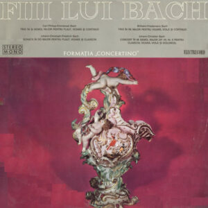 Formatia Concertino - Fii Lui Bach - Afbeelding 1