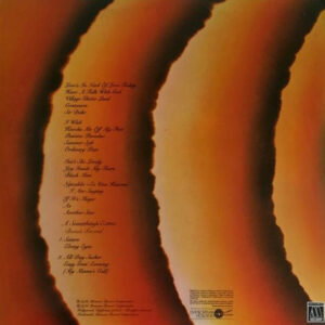 Stevie Wonder - Songs in the Key of Life (2 LP) - Afbeelding 3