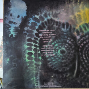 Dinosaur jr. - There Near - Afbeelding 3