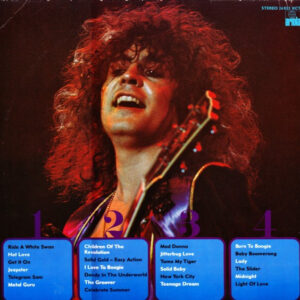 Marc Bolan &T. Rex - Pop Chronik (2 LP) - Afbeelding 3