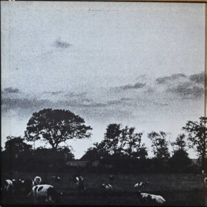 Pink Floyd - Atom Heart Mother - Afbeelding 3
