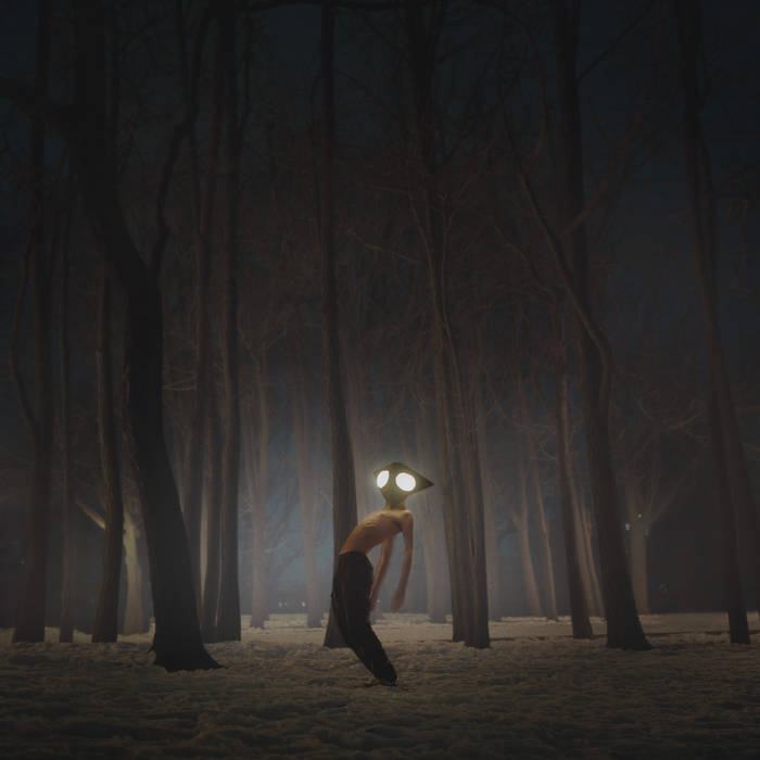Geese – Projector