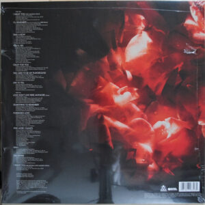 Madonna – Something To Remember - Afbeelding 3