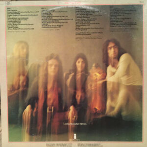 Free - The Free Story (2 LP) - Afbeelding 3