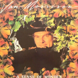 Van Morrison – A Sense Of Wonder - Afbeelding 1