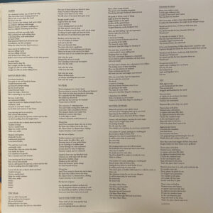 Iceage - For Love Of Grace & The Herafter - Afbeelding 2