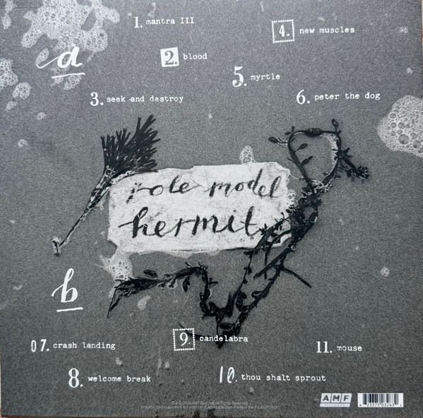 Mary In The Junkyard - Role Model Hermit