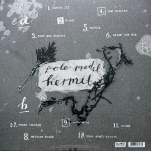 Mary In The Junkyard - Role Model Hermit - Afbeelding 3