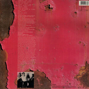 Johnny Diesel and the Injectors - Johnny Diesel and the Injectors - Afbeelding 3