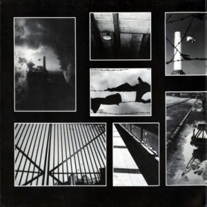 Pink Floyd - Animals - Afbeelding 3