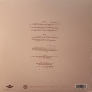 Chris Stapleton - From A Room: Volume 1 - Afbeelding 2