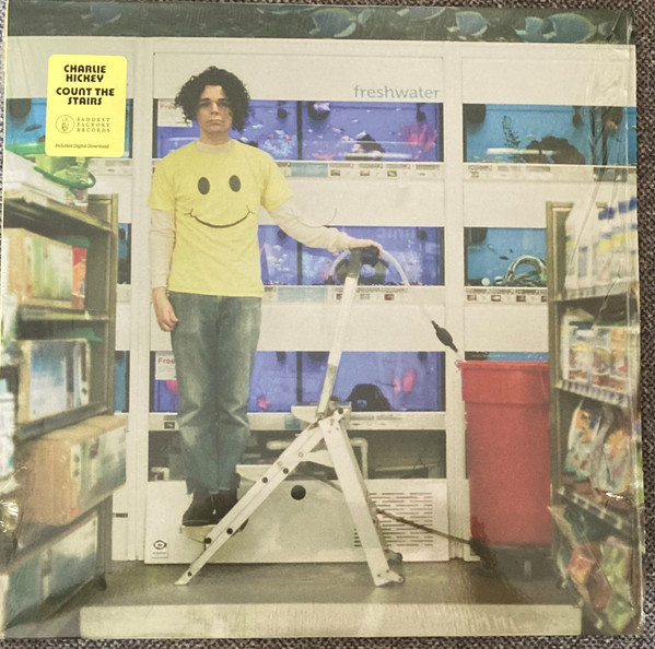 Charlie Hickey - Count The Stairs