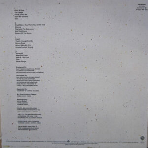 Fleetwood Mac - TUSK (2 LP) - Afbeelding 3