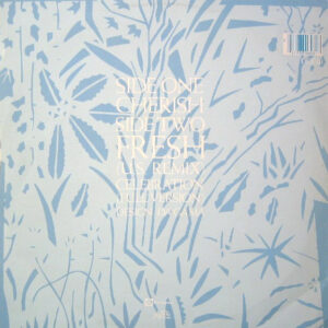 12" | Kool and the Gang - Cherish / Fresh (US remix) / Celebration - Afbeelding 3