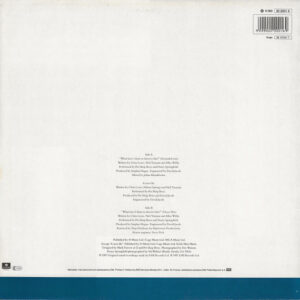 12" | Pet Shop Boys with Dust Springfield - What have I done to Deserve This? - Afbeelding 3