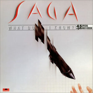 12" | Saga - What do I Know (the Shack mix) - Afbeelding 1