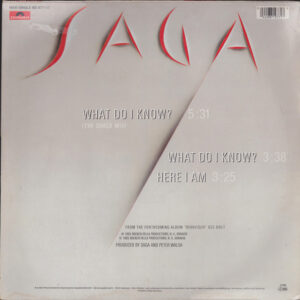 12" | Saga - What do I Know (the Shack mix) - Afbeelding 3