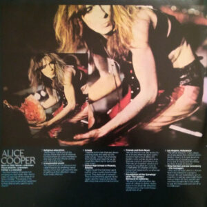Alice Cooper - School Days, the Early Recordings (2 LP: Pretties for You / Easy Action) - Afbeelding 3