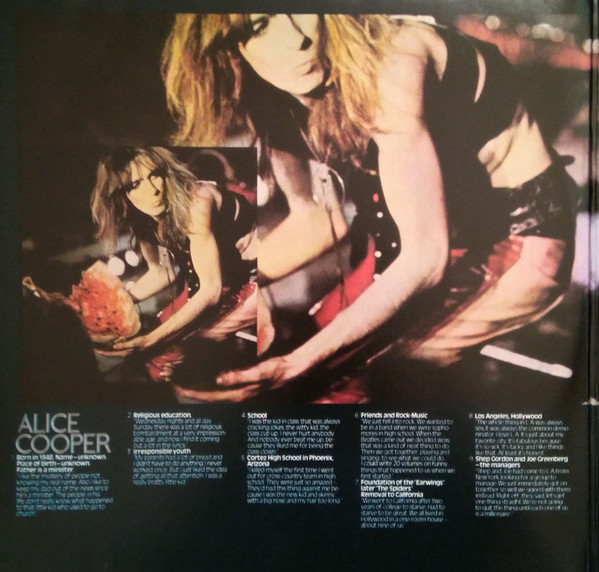 Alice Cooper - School Days, the Early Recordings (2 LP: Pretties for You / Easy Action)