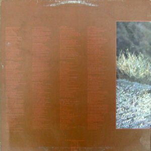 Stevie Wonder - Talking Book - Afbeelding 3