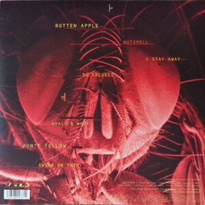Alice In Chains – Jar Of Flies - Afbeelding 3