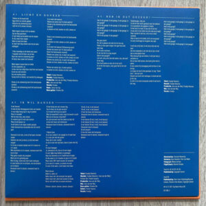 Froukje - Licht en Donker (10", silver grey vinyl) - Afbeelding 2