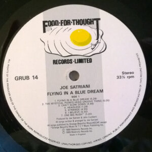 Joe Satriani - Flying in a Blue Dream - Afbeelding 2