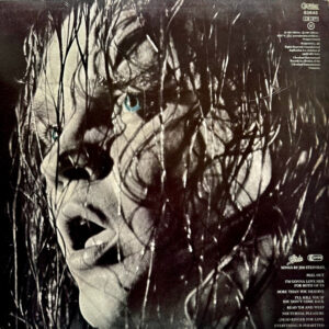 Meat Loaf - Dead Ringer - Afbeelding 3