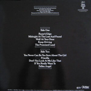 Meat Loaf - Midnight at the Lost and Found - Afbeelding 3