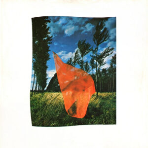 Pink Floyd - Wish You Were Here - Afbeelding 2