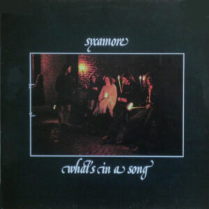 Sycamore – What's In A Song - Afbeelding 1
