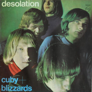 Cuby + Blizzards – Desolation - Afbeelding 1