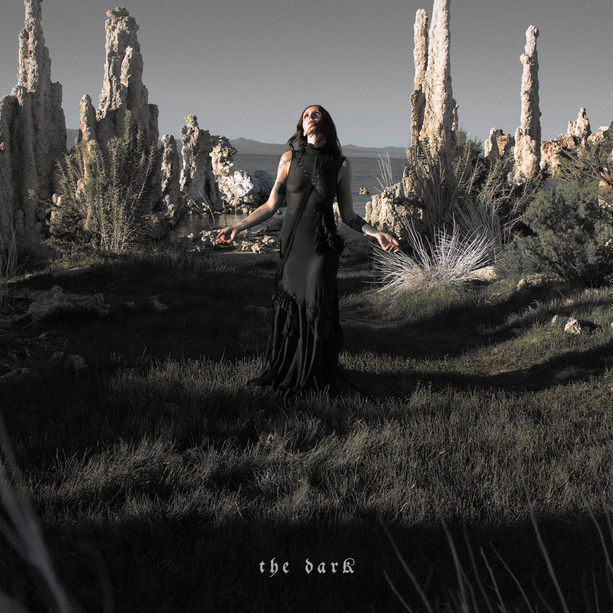Chelsea Wolfe - The Dark - Afbeelding 1