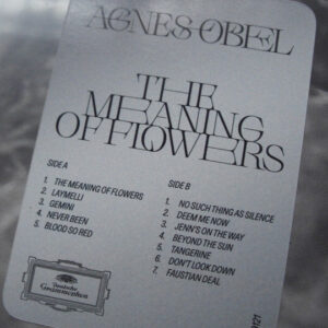 Agnes Obel – The Meaning Of Flowers - Afbeelding 2