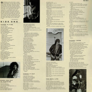 John Cougar Mellencamp - The Lonesome Jubilee - Afbeelding 3