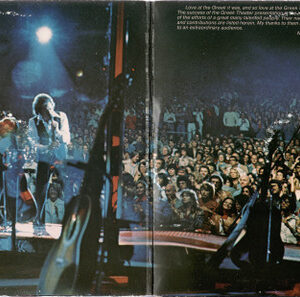 Neil Diamond - Love at the Greek (2 LP) - Afbeelding 2