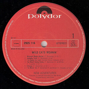 New Adventures - Wild Cats Moaning - Afbeelding 2