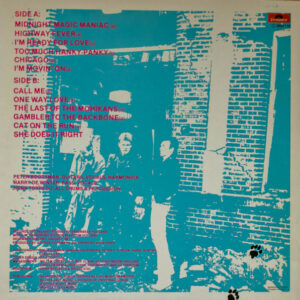New Adventures - Wild Cats Moaning - Afbeelding 3