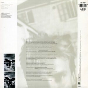 Sting - The Dream of the Blue Turtles - Afbeelding 3