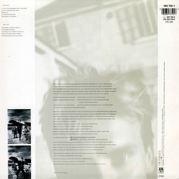 Sting - The Dream of the Blue Turtles