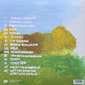 Personal Trainer – Human Assholes (peachy vinyl) - Afbeelding 3