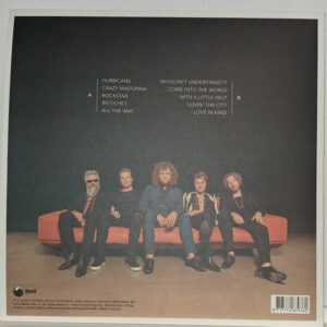 Di-Rect – Rolling With The Punches - Afbeelding 2