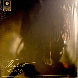 Thundercat - It Is What It Is - Afbeelding 1