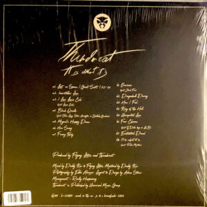 Thundercat - It Is What It Is - Afbeelding 3