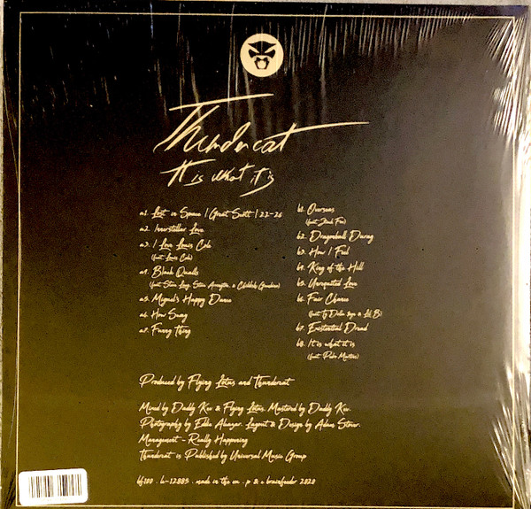 Thundercat - It Is What It Is