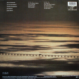 Bruce Hornsby And The Range – The Way It Is - Afbeelding 3